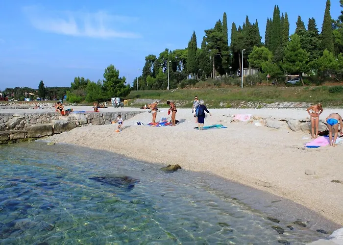 Πανσιόν Quadruple 13591h